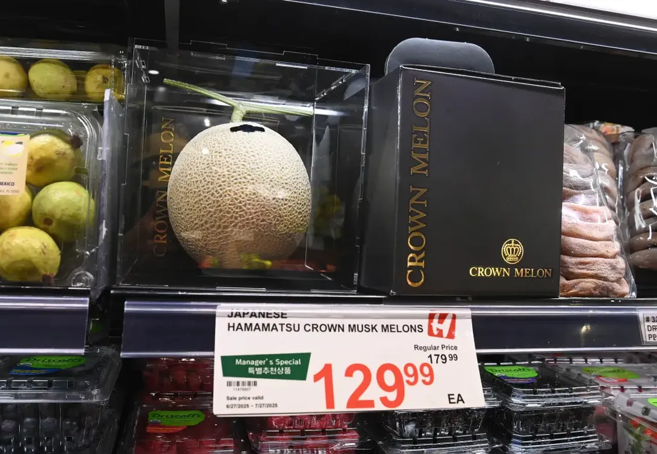 Bu kavunun fiyatı dudak uçuklatıyor! 'Kraliyet sınıfı' meyve özel kutusunda satılıyor