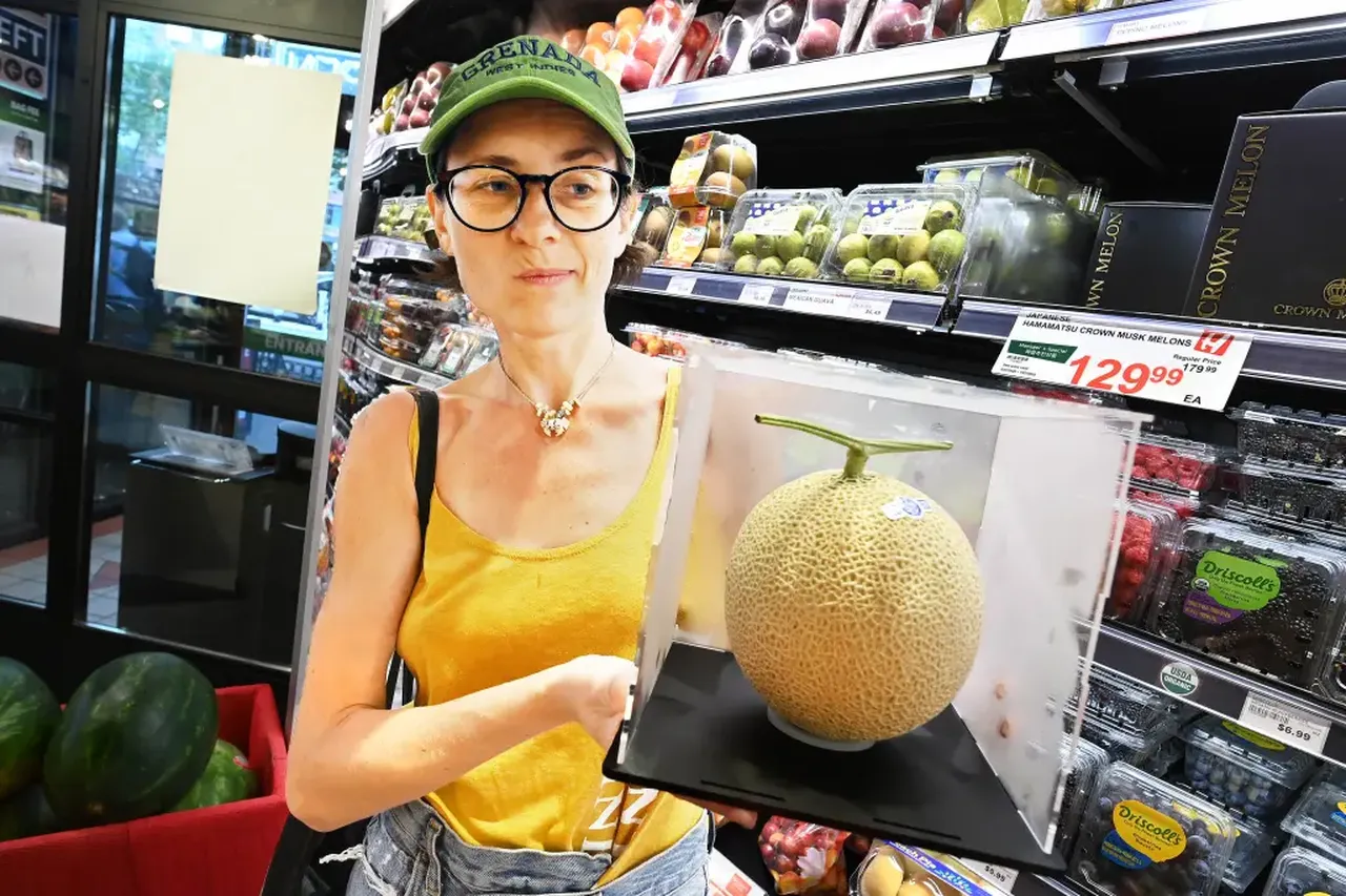 Bu kavunun fiyatı dudak uçuklatıyor! 'Kraliyet sınıfı' meyve özel kutusunda satılıyor