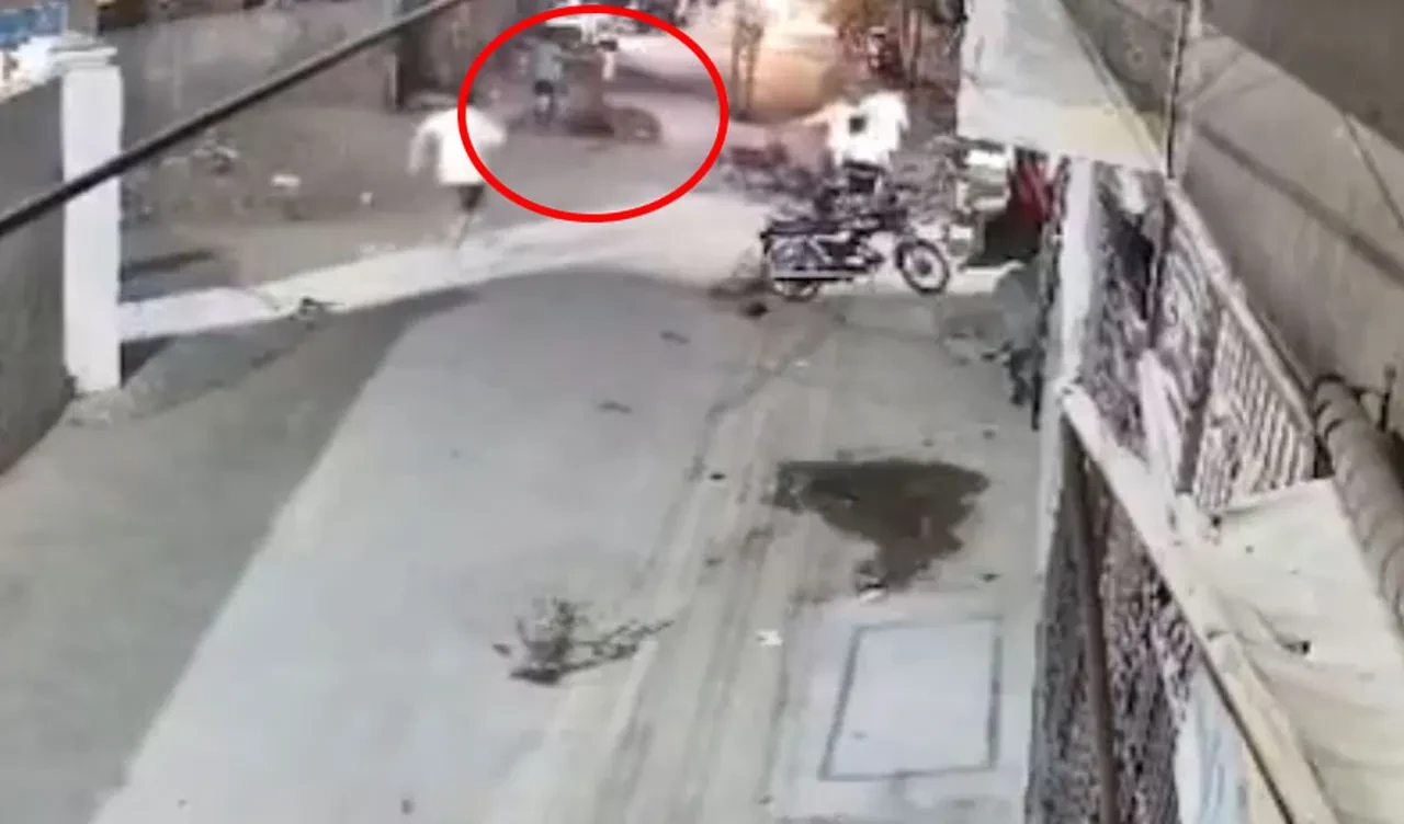 Pakistan sokaklarında aslan dehşeti! Önüne gelene saldırdı