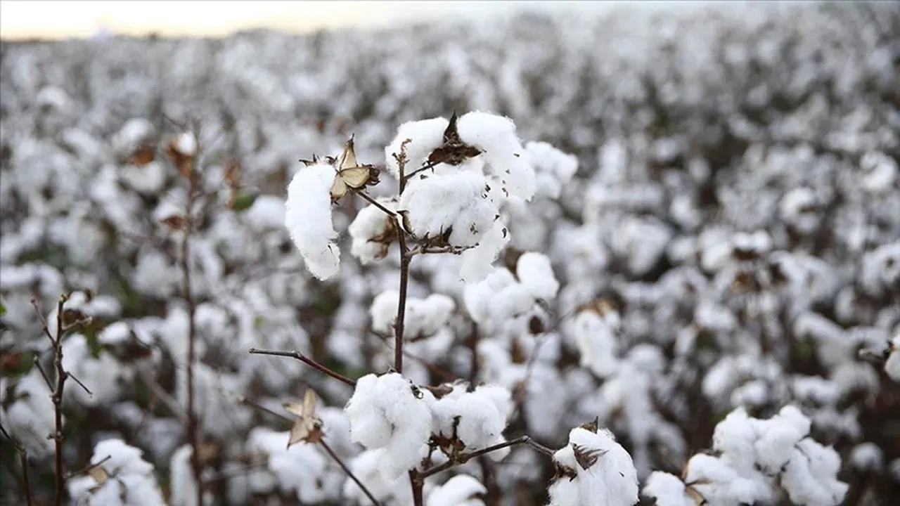 Tarife mektuplarından etkilenen emtia fiyatları karışık bir seyir izledi