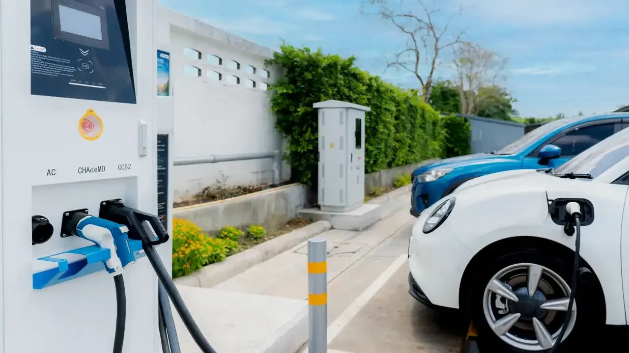 Togg'un zirve gururu! Dünya devi markaları geride bıraktı