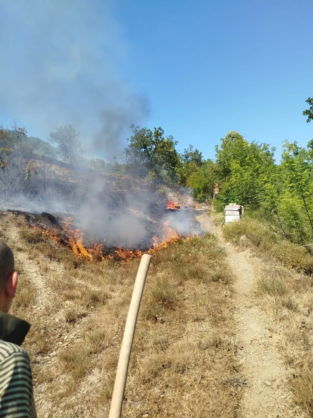 Zonguldak yangın son dakika söndürüldü mü? Yangında yaklaşık 5 dekar alan hasar gördü