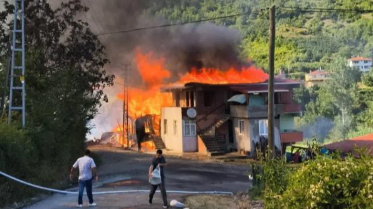 Kastamonu'da ev küle döndü: 1 eşek öldü!
