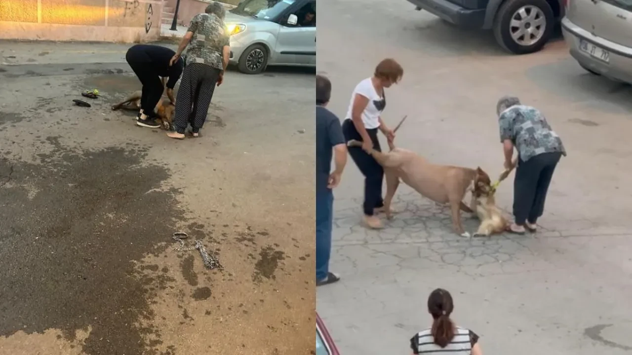 Faciaya ramak kala! Lastiği patlayan kamyon sürücüsü dehşeti yaşadı