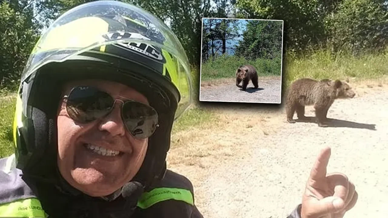 Ayı yavrusuyla selfie son fotoğrafı oldu! Uçuruma sürükleyip parçaladı