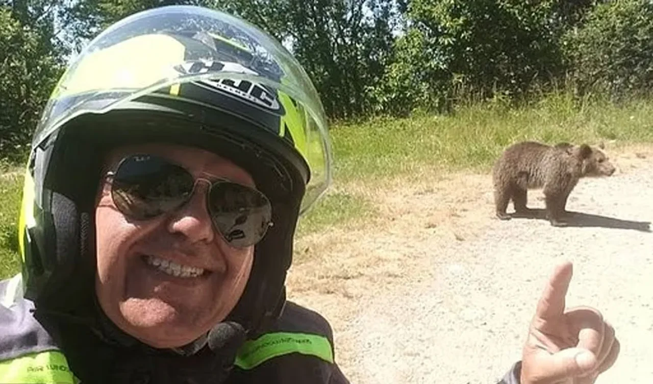 Ayı yavrusuyla selfie son fotoğrafı oldu! Uçuruma sürükleyip parçaladı