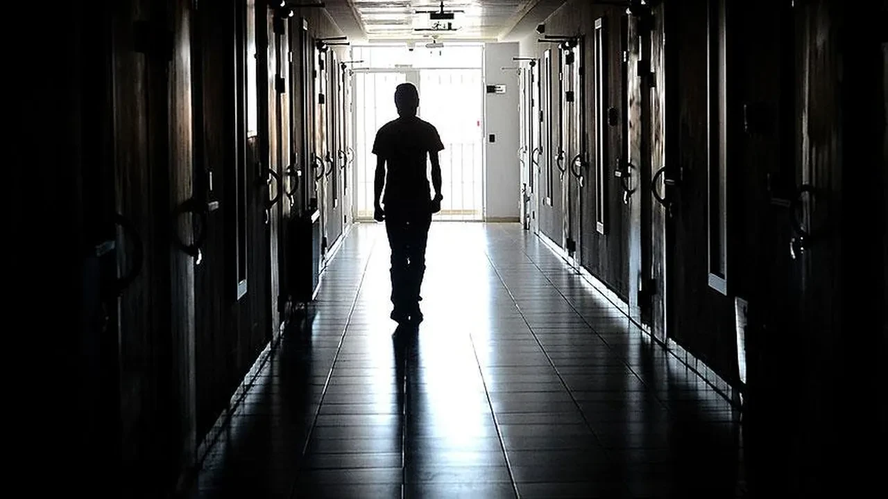 Bakan Yumaklı açıkladı: Hükümlülere bitkisel ve hayvansal üretim eğitimi verilecek