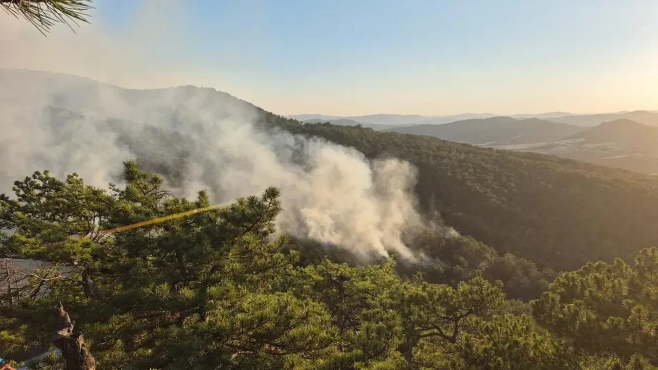 Bolu'da korkutan yangın! Ekipler seferber oldu