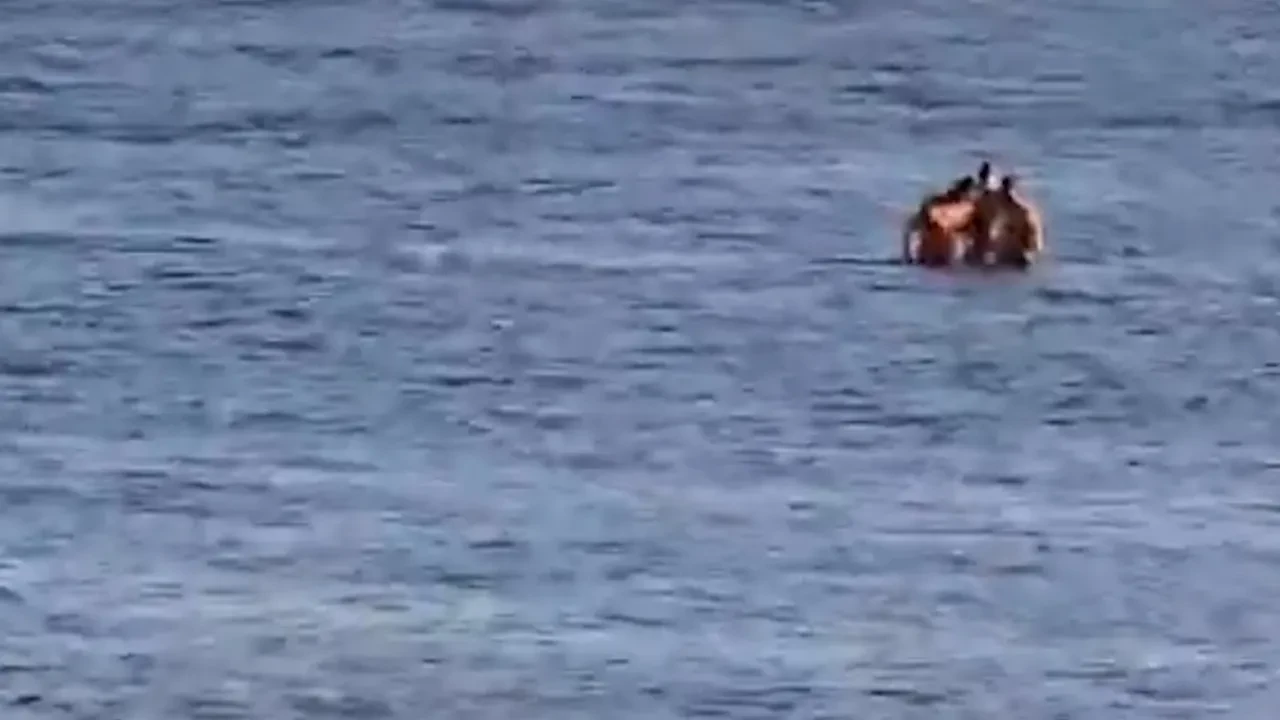 Denizin ortasında ayakta duran vatandaşlar şoke etti! Sosyal medya bunu konuşuyor 