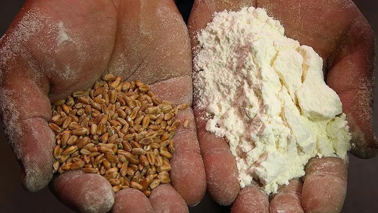 Dünya un ticaretinde her 4 paketten 1’i Türkiye’den