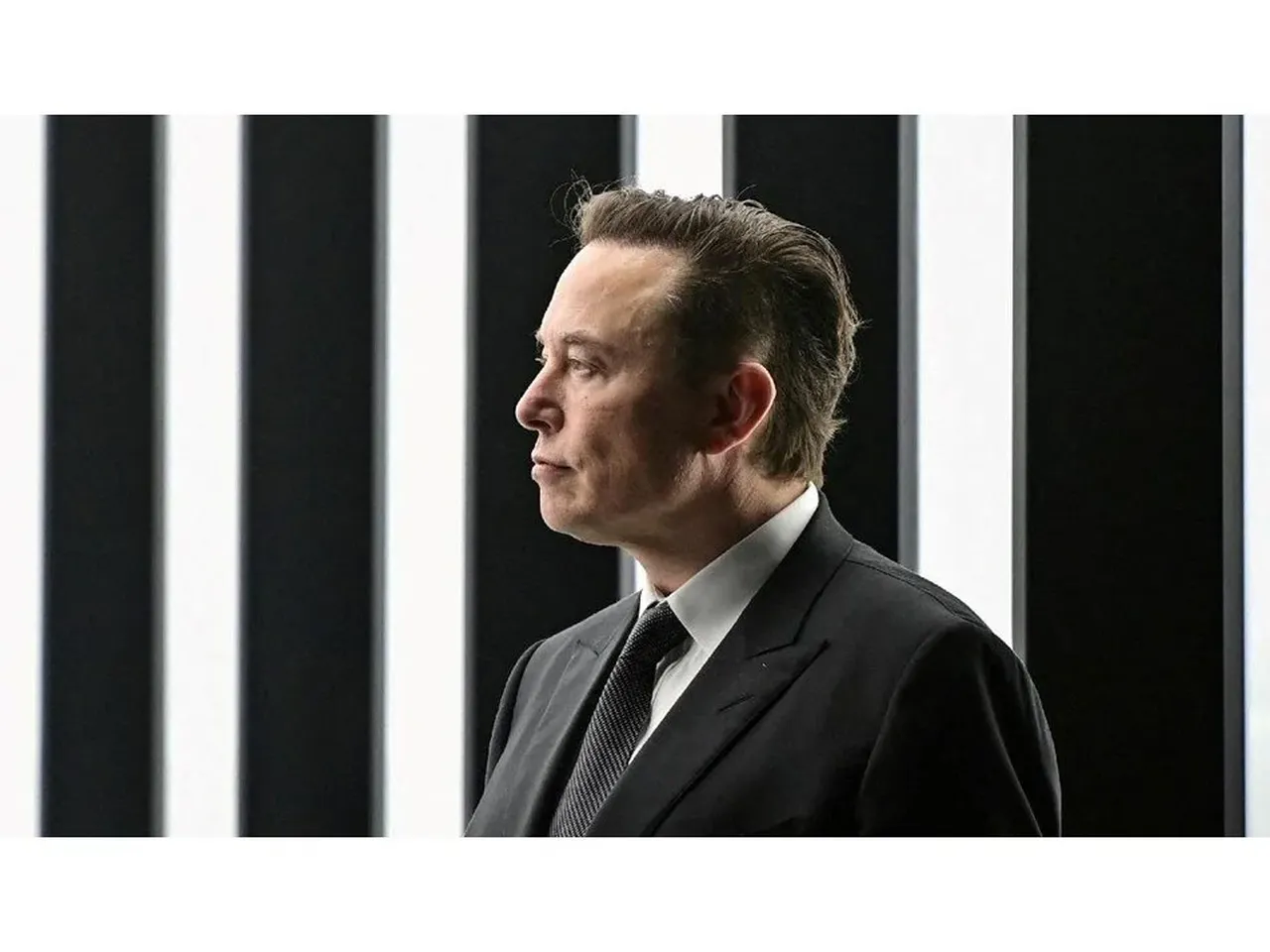 Elon Musk’a çağrı: Ayıya dayı de