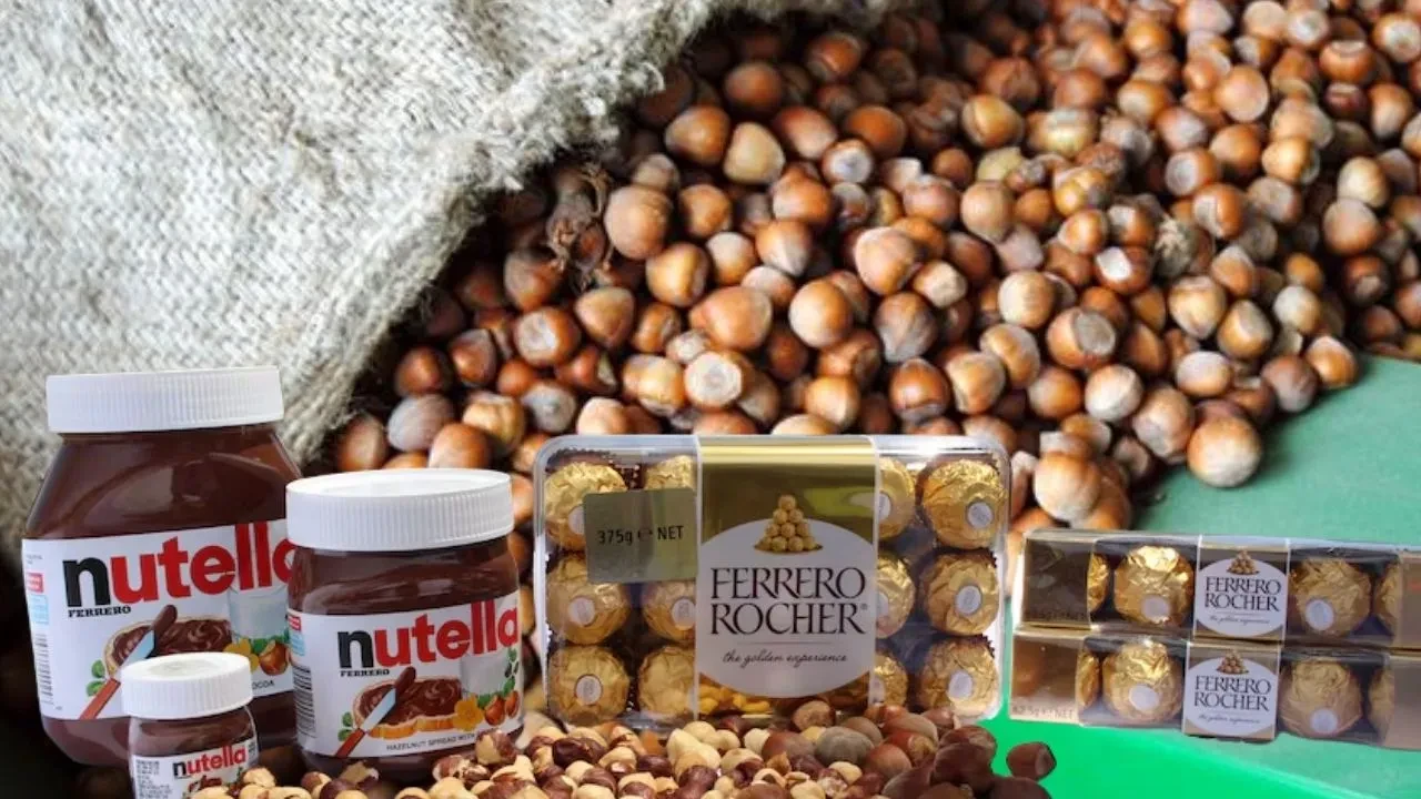 Ferrero Fındık'ın Türkiye'deki faaliyetleri durduruldu mu? Rekabet Kurulu açıklama yaptı