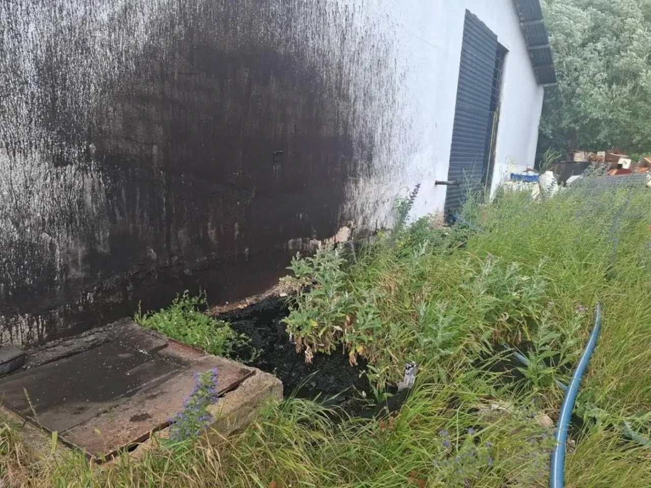 Harşit Çayı'nı kapkara yapan meyve suyu fabrikasının cezası belli oldu