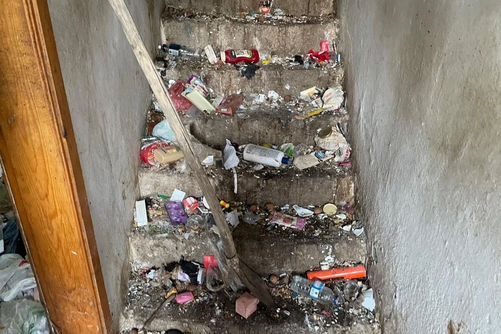 Görenleri şoke eden yedi yıllık kabus son buldu!