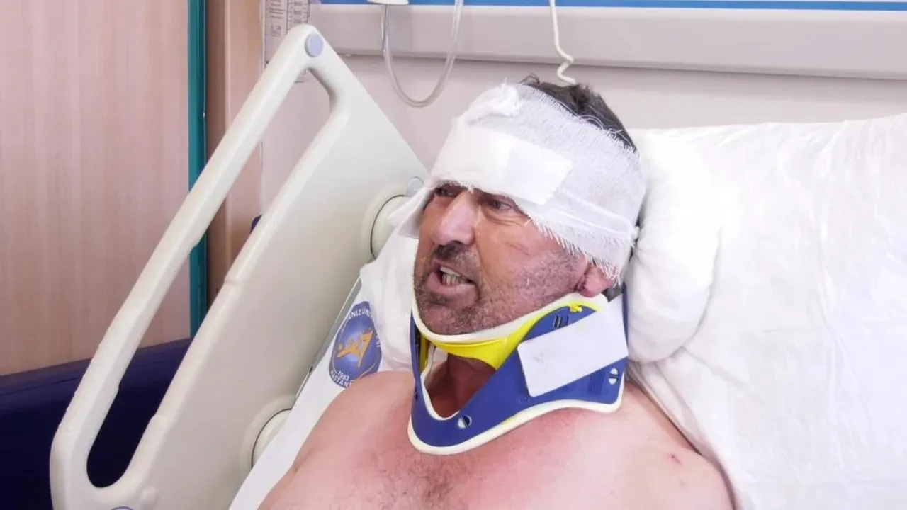 Kaçak aslan çiftçiyi hastanelik etmişti! Hayvanat bahçesi için karar verildi