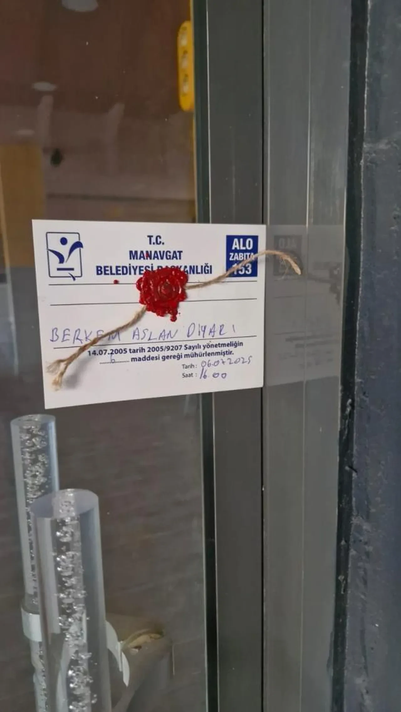 Kaçak aslan çiftçiyi hastanelik etmişti! Hayvanat bahçesi için karar verildi