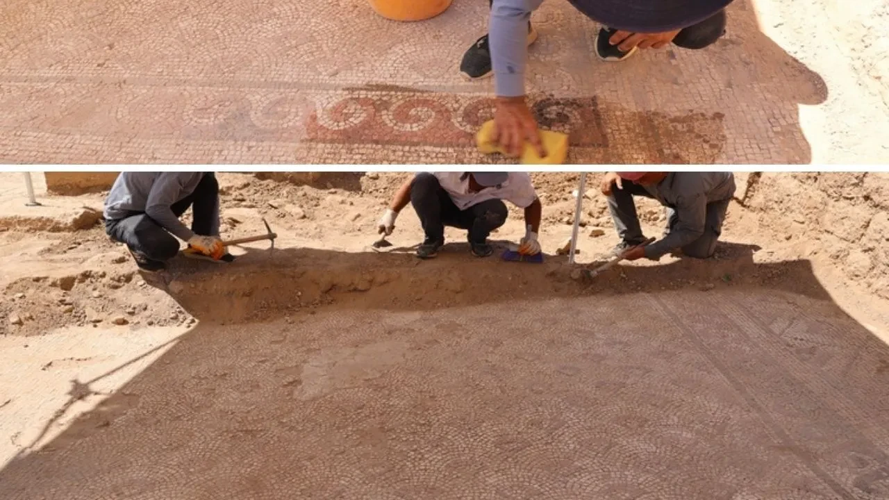 Mardin'de 1500 yıllık mozaik: Dara Antik Kenti'nde bulundu
