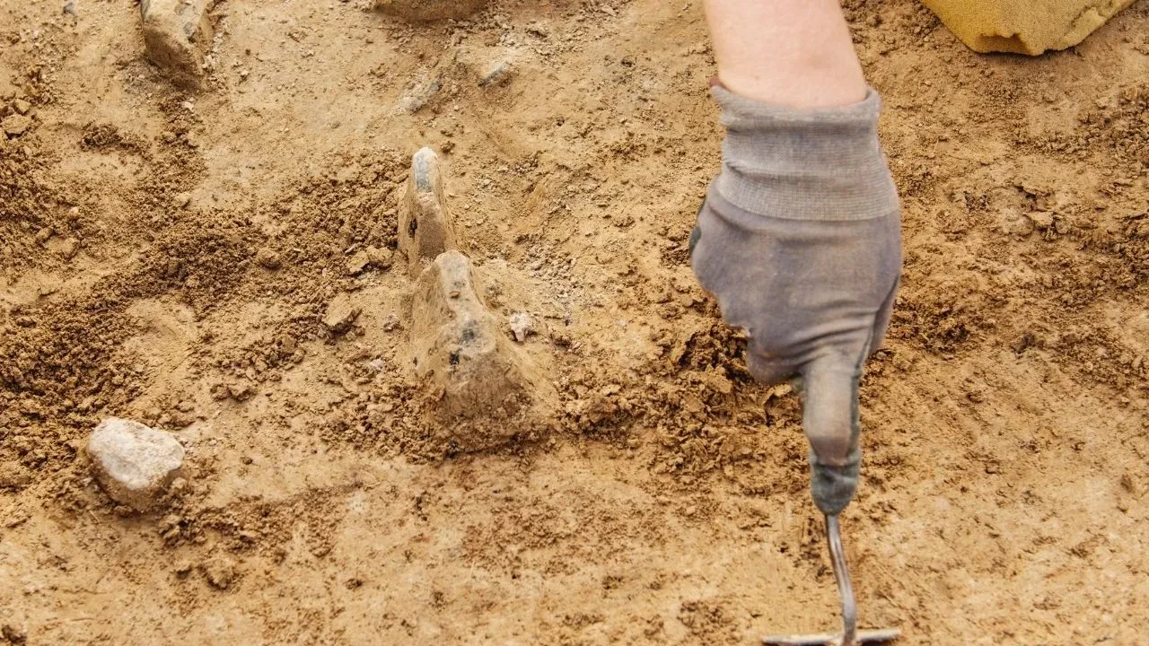 O bölgede 3.500 yıllık bir şehir gün yüzüne çıkarıldı: Taş ve kerpiç bina kalıntıları