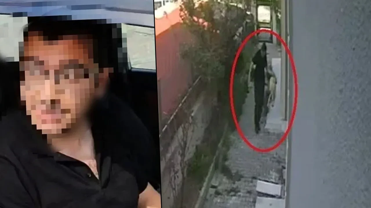 Sahiplendiği köpekleri parçalayıp öldürmüştü... O doktor hakim karşısına çıktı