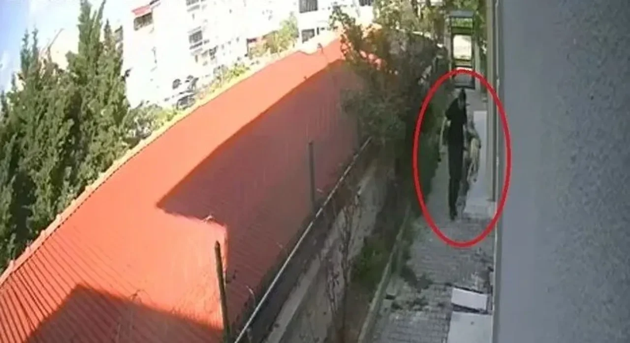 Sahiplendiği köpekleri parçalayıp öldürmüştü... O doktor hakim karşısına çıktı