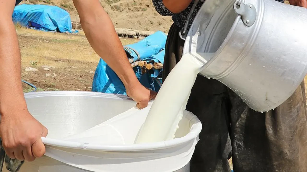 Süt üreticilerinden 21 TL talebi: “Bu fiyat tercih değil, zorunluluk”