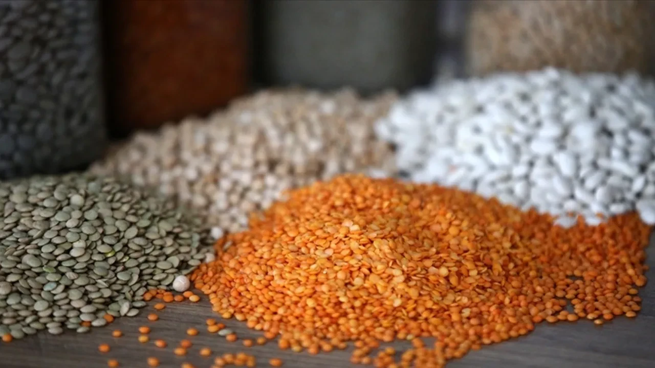 Türkiye'nin hububat ve bakliyat ihracatı yılın ilk yarısında yüzde 4,5 arttı