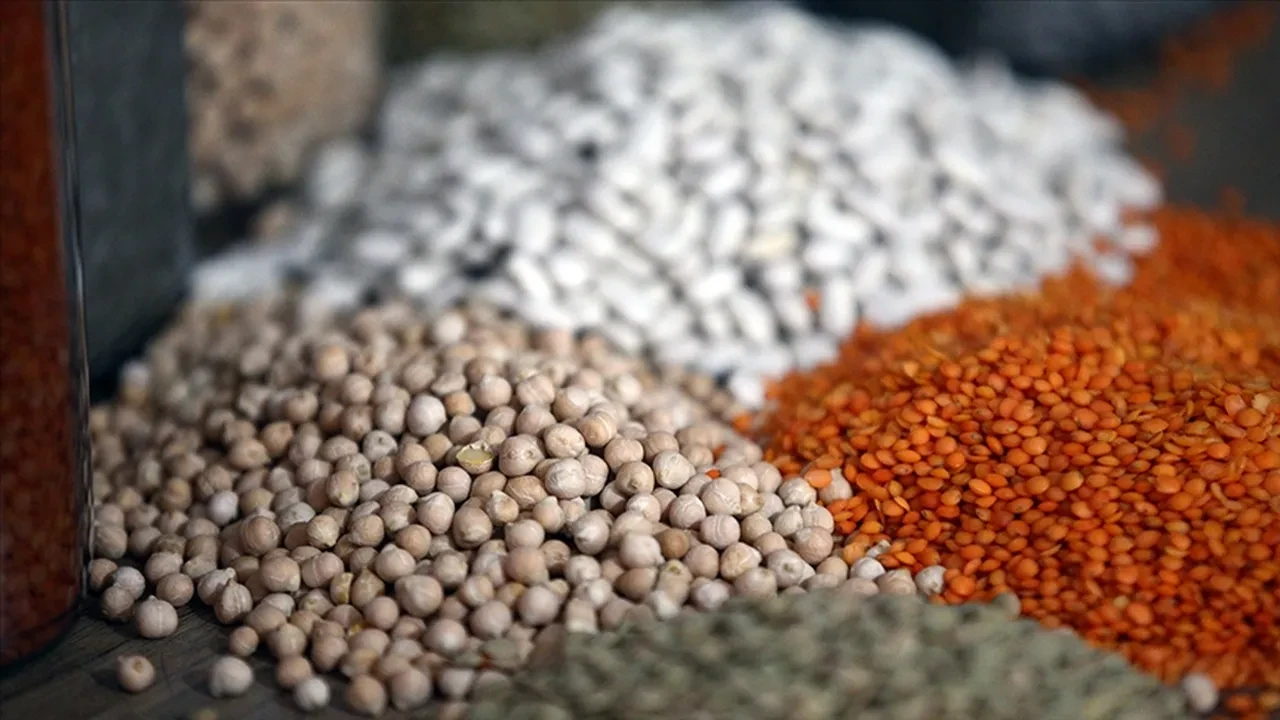 Türkiye'nin hububat ve bakliyat ihracatı yılın ilk yarısında yüzde 4,5 arttı