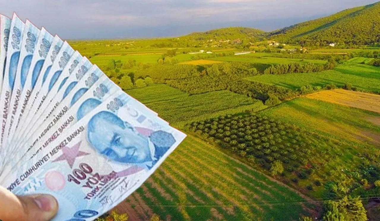 Yatırımcılar dikkat! İstanbul dahil 4 ilde dev arsa satışı: Resmi Gazete’de yayımlandı