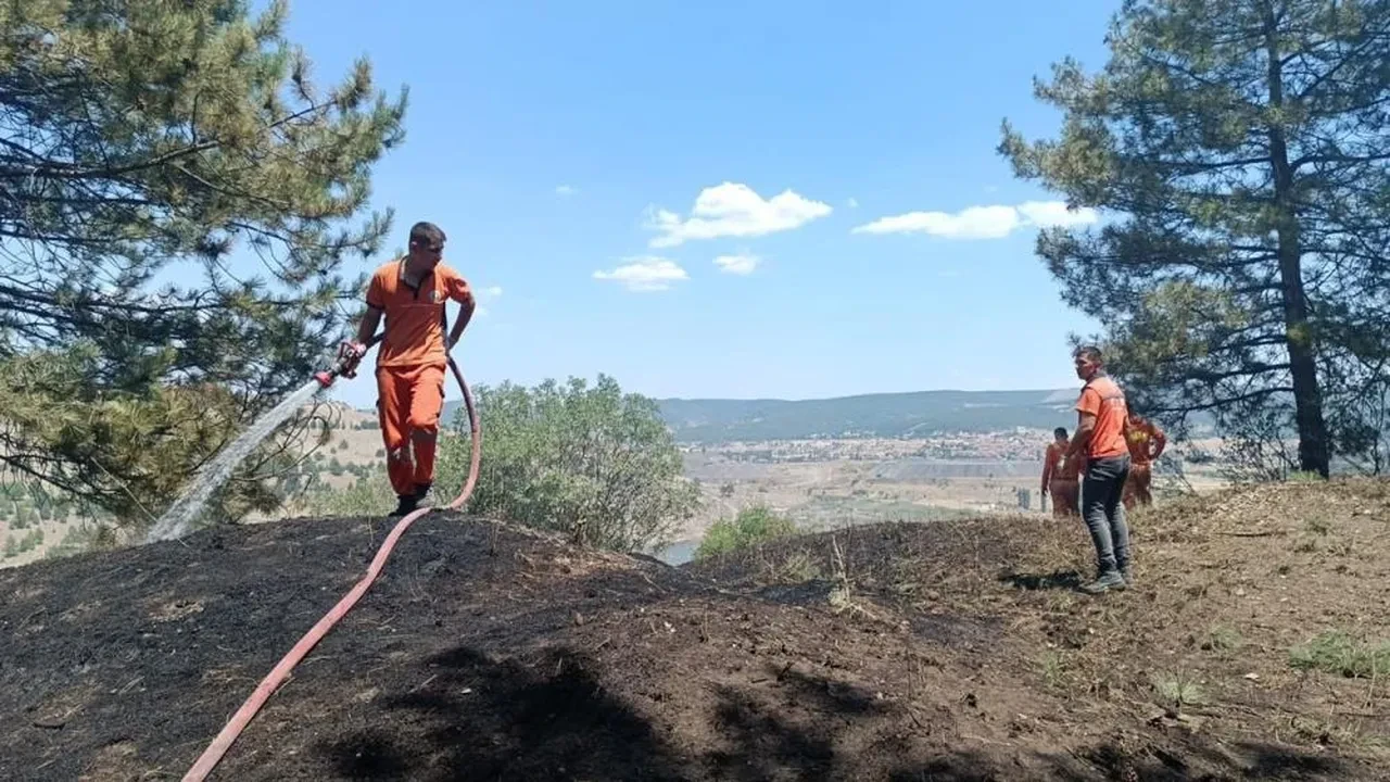 Yürekler ağza geldi! Orman yangını büyümeden söndürüldü