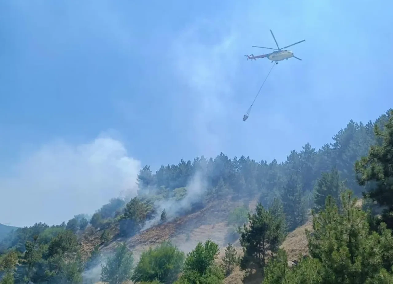 Yürekler ağza geldi! Orman yangını büyümeden söndürüldü