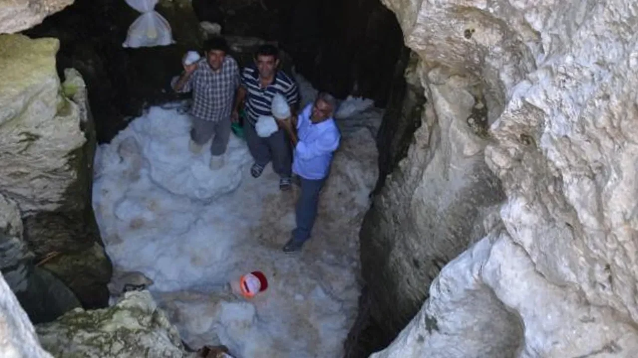 Zirvede organik buz dolabı: Gıdalar aylarca bozulmadan kalıyor