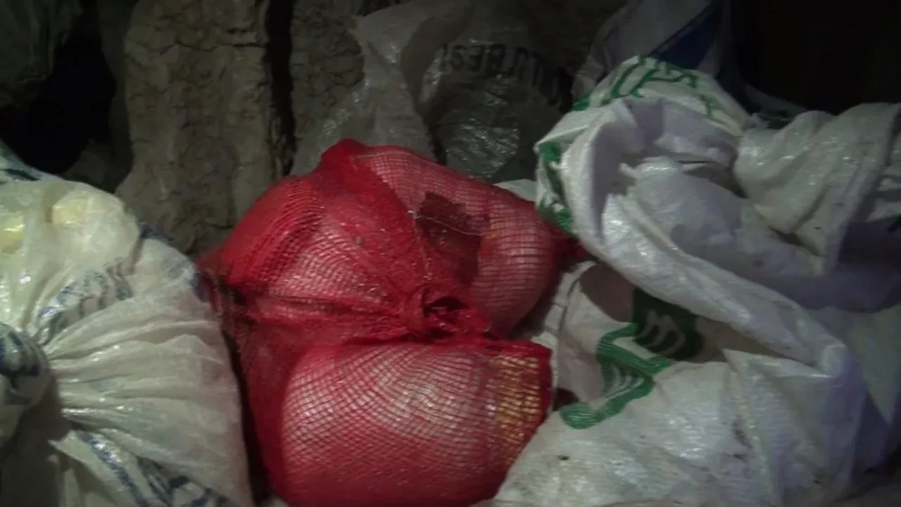 Zirvede organik buz dolabı: Gıdalar aylarca bozulmadan kalıyor