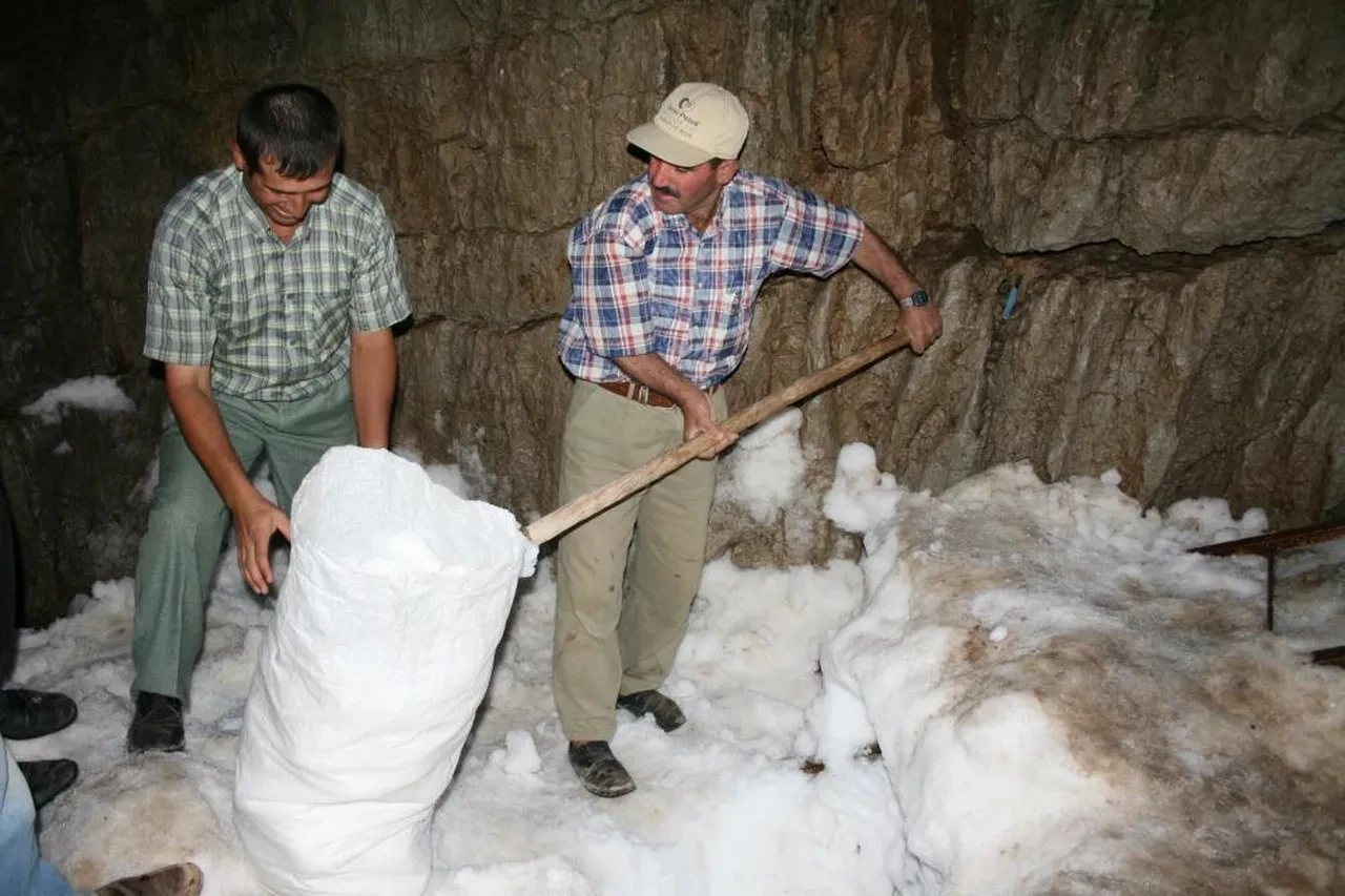 Zirvede organik buz dolabı: Gıdalar aylarca bozulmadan kalıyor