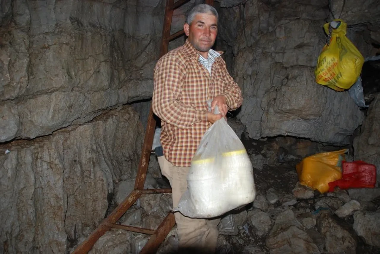 Zirvede organik buz dolabı: Gıdalar aylarca bozulmadan kalıyor