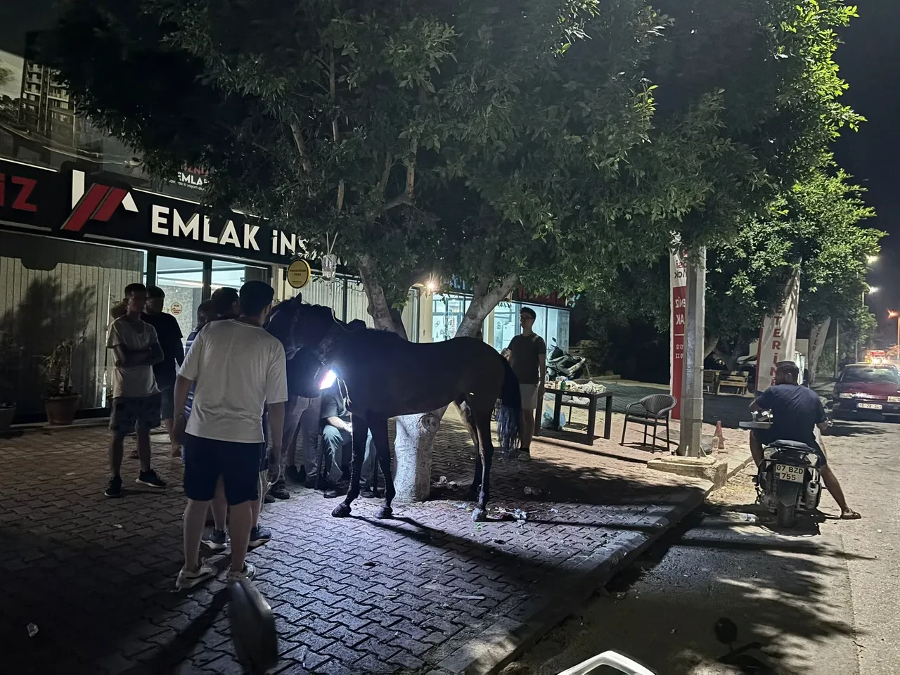 Başıboş gezen at yola fırladı! Araç hurdaya döndü! Yaralılar var