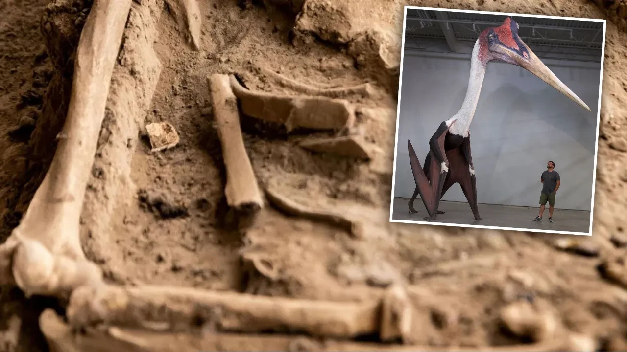 Bilim insanları 209 milyon yıllık gizeme ışık tuttu! Yeni bir pterozor türü keşfedildi