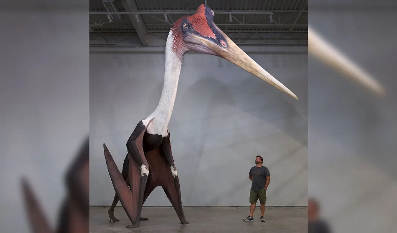 Bilim insanları 209 milyon yıllık gizeme ışık tuttu! Yeni bir pterozor türü keşfedildi