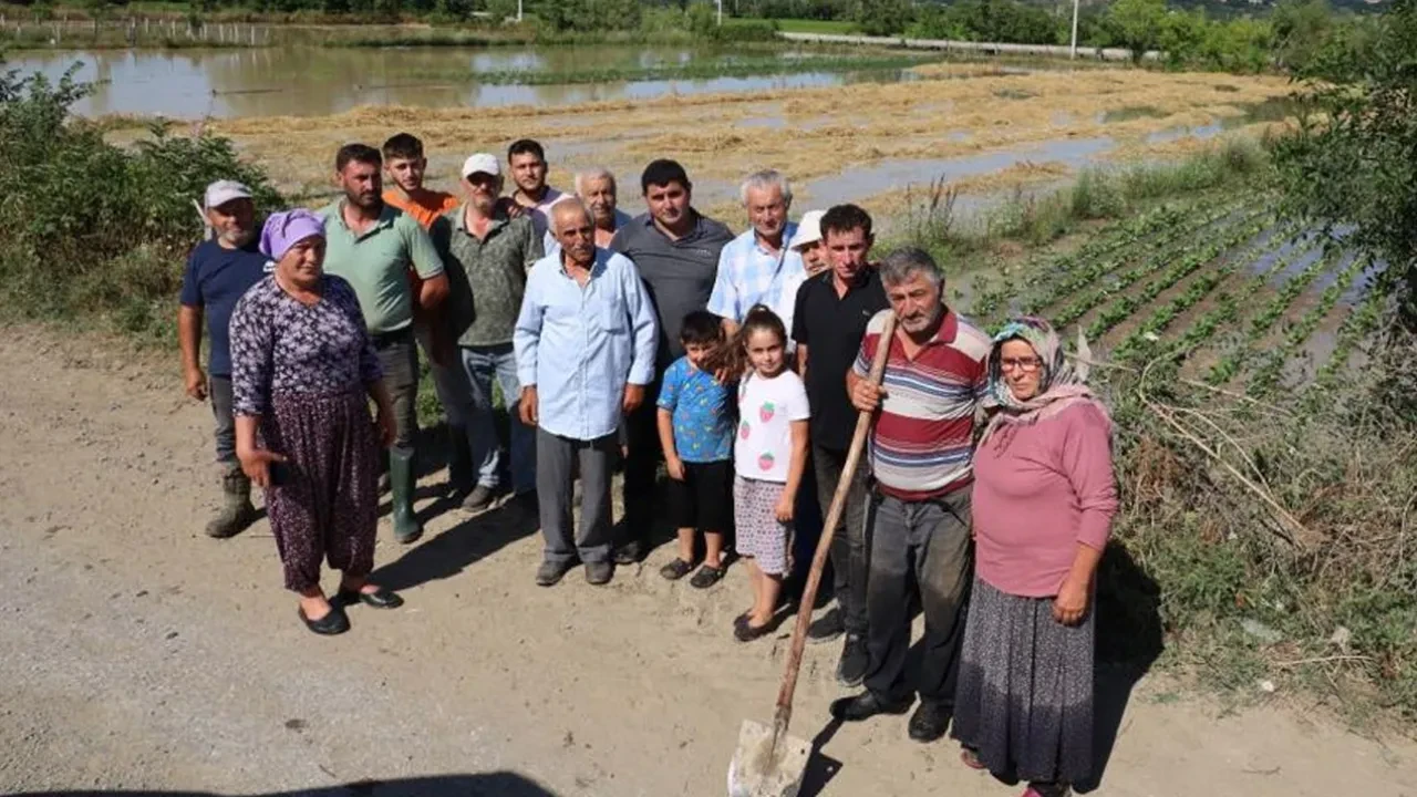 Çiftçinin tonlarca ürünü heba oldu! Bir kuruma isyan ettiler