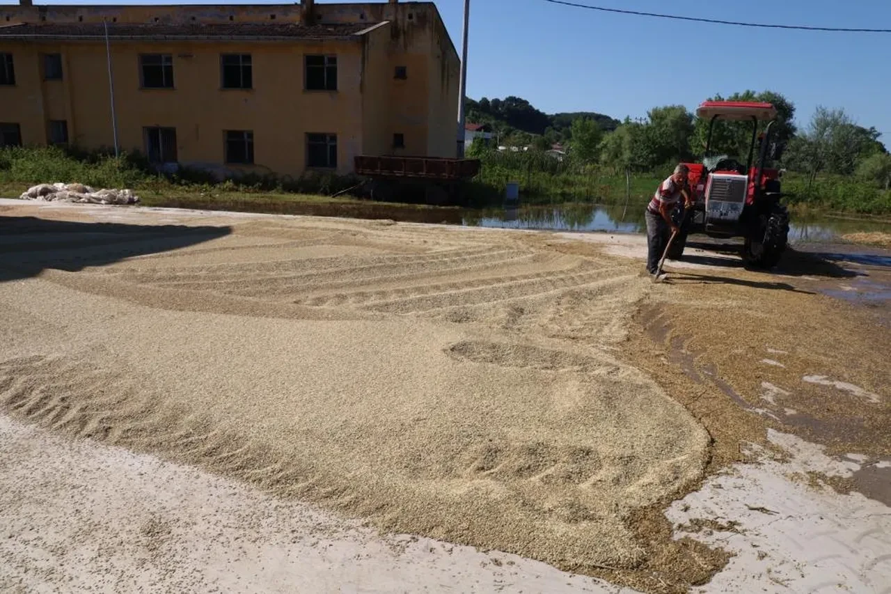Çiftçinin tonlarca ürünü heba oldu! Bir kuruma isyan ettiler