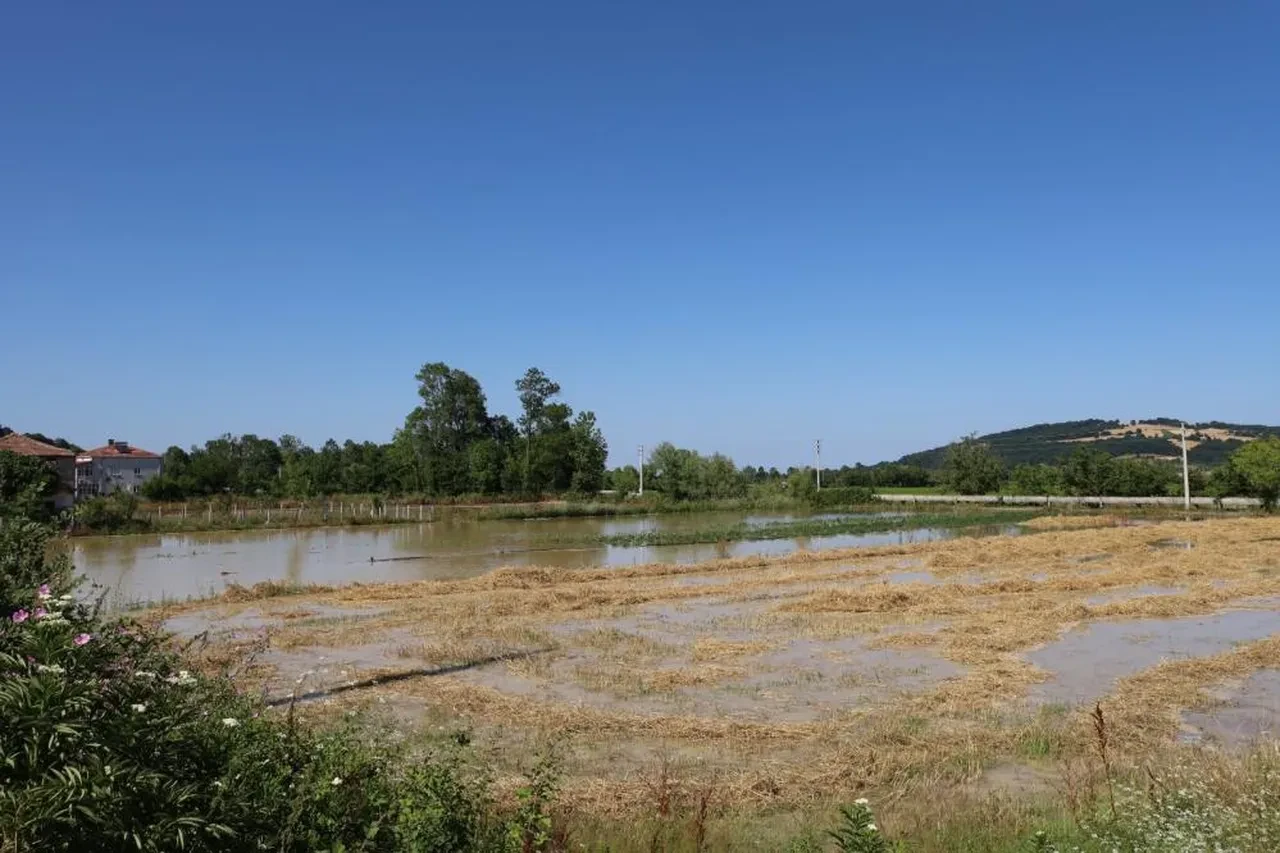 Çiftçinin tonlarca ürünü heba oldu! Bir kuruma isyan ettiler