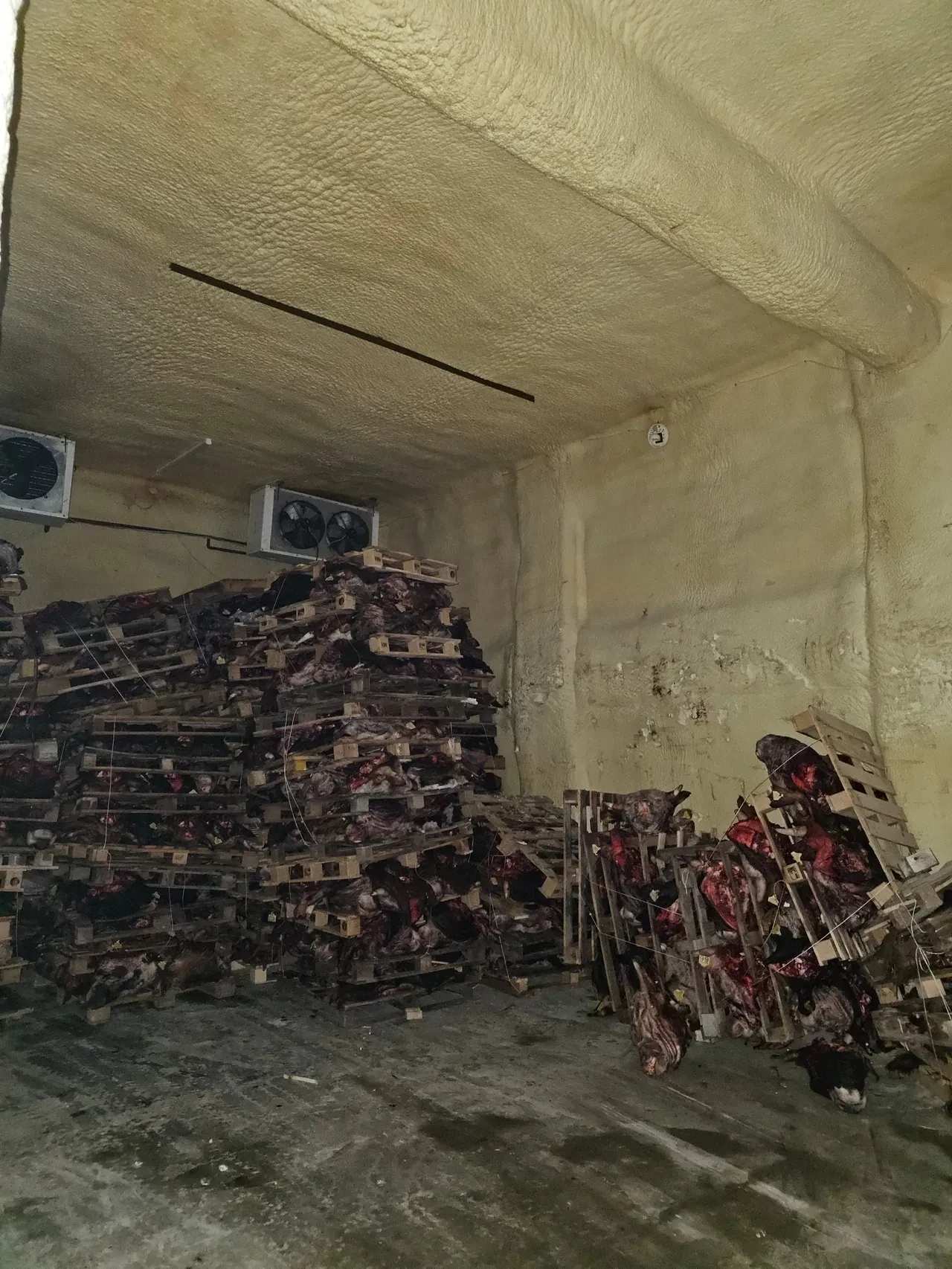 Et deposunda skandal görüntüler: Hayvan kafaları mide bulandırdı!