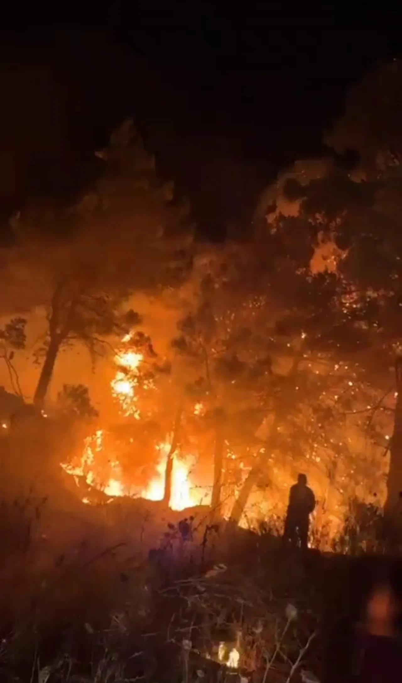 Hatay'da orman yangını: Alevler kontrol altına alındı