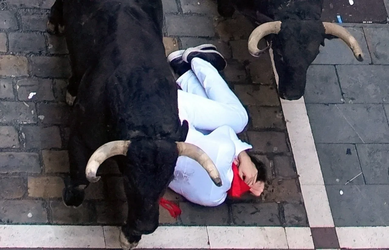 Kızgın boğa dehşeti! 8 kişiyi hastanelik etti