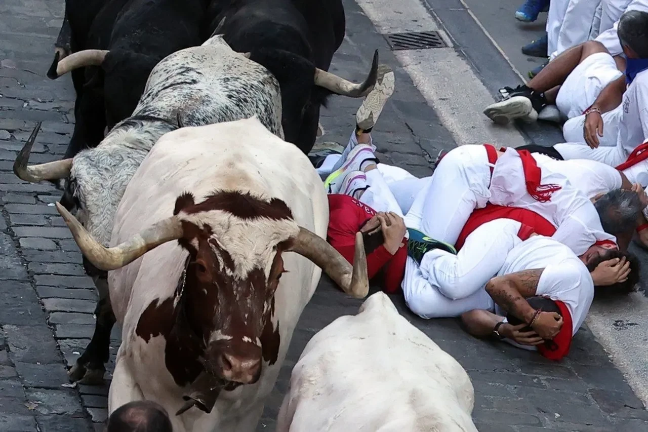 Kızgın boğa dehşeti! 8 kişiyi hastanelik etti