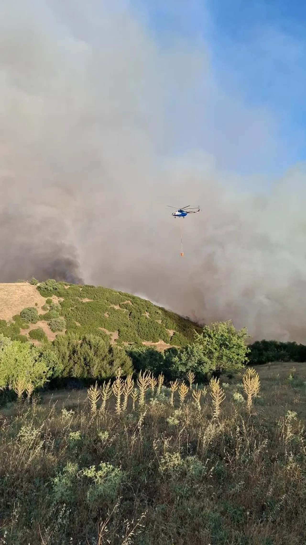 Manisa ve Uşak'ta orman yangını! Alevler kontrol altına alındı