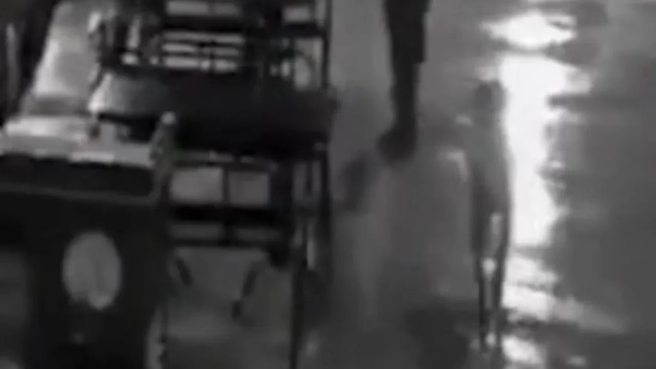 Ne ağızlık var, ne de tasma! Başıboş köpek polisi ısırınca vuruldu, memur ceza almadı