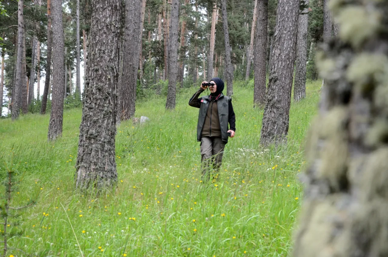 Onlar 'doğanın koruyucuları! Yangınlara karşı 7/24 nöbetteler 