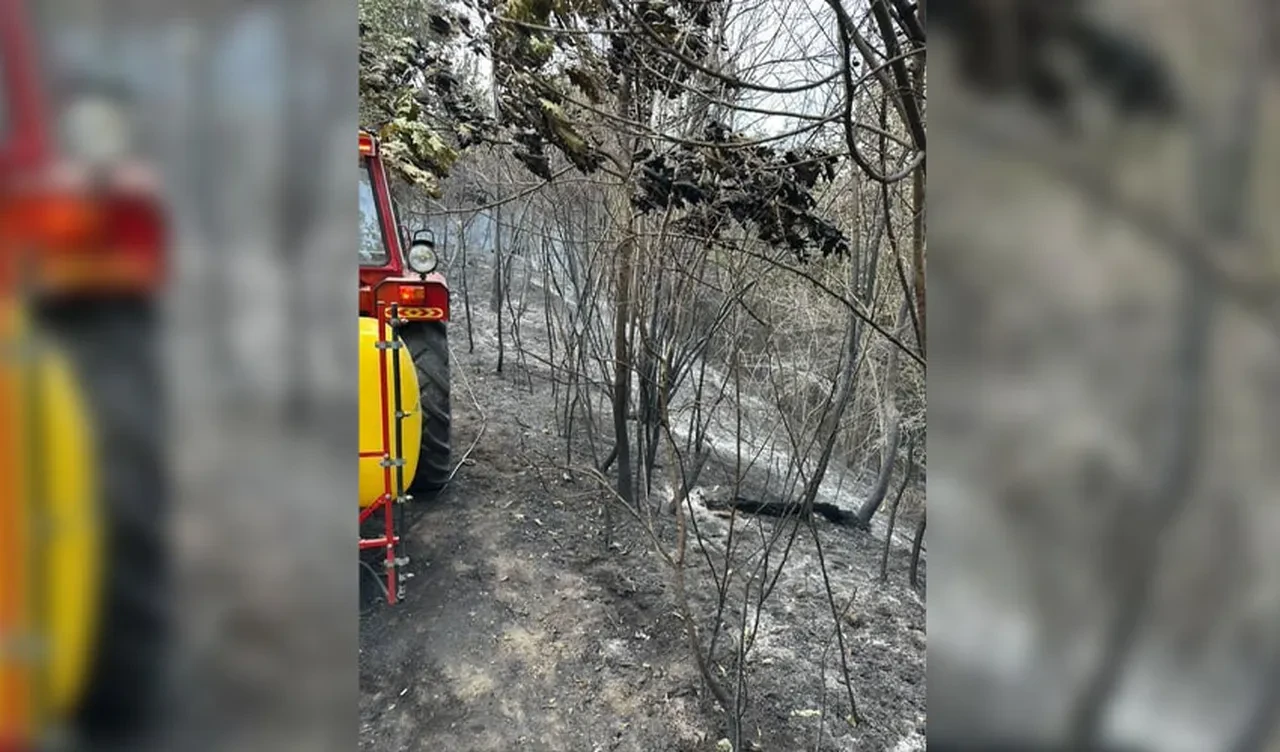 Sırbistan yanıyor! Son 24 saatte 200'den fazla yangın: Ölü ve yaralılar var