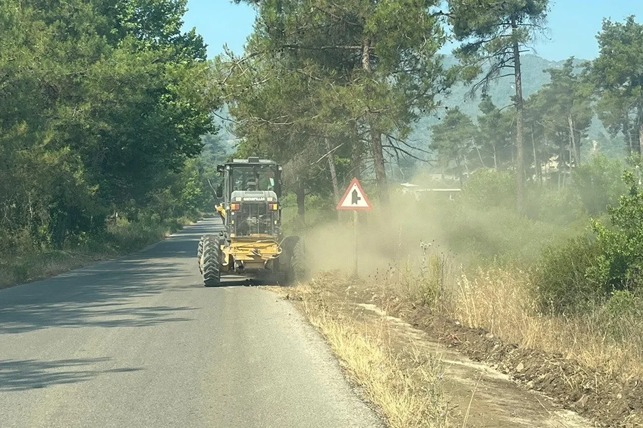 Suriye sınırında orman yangını! Ekipler teyakkuzda