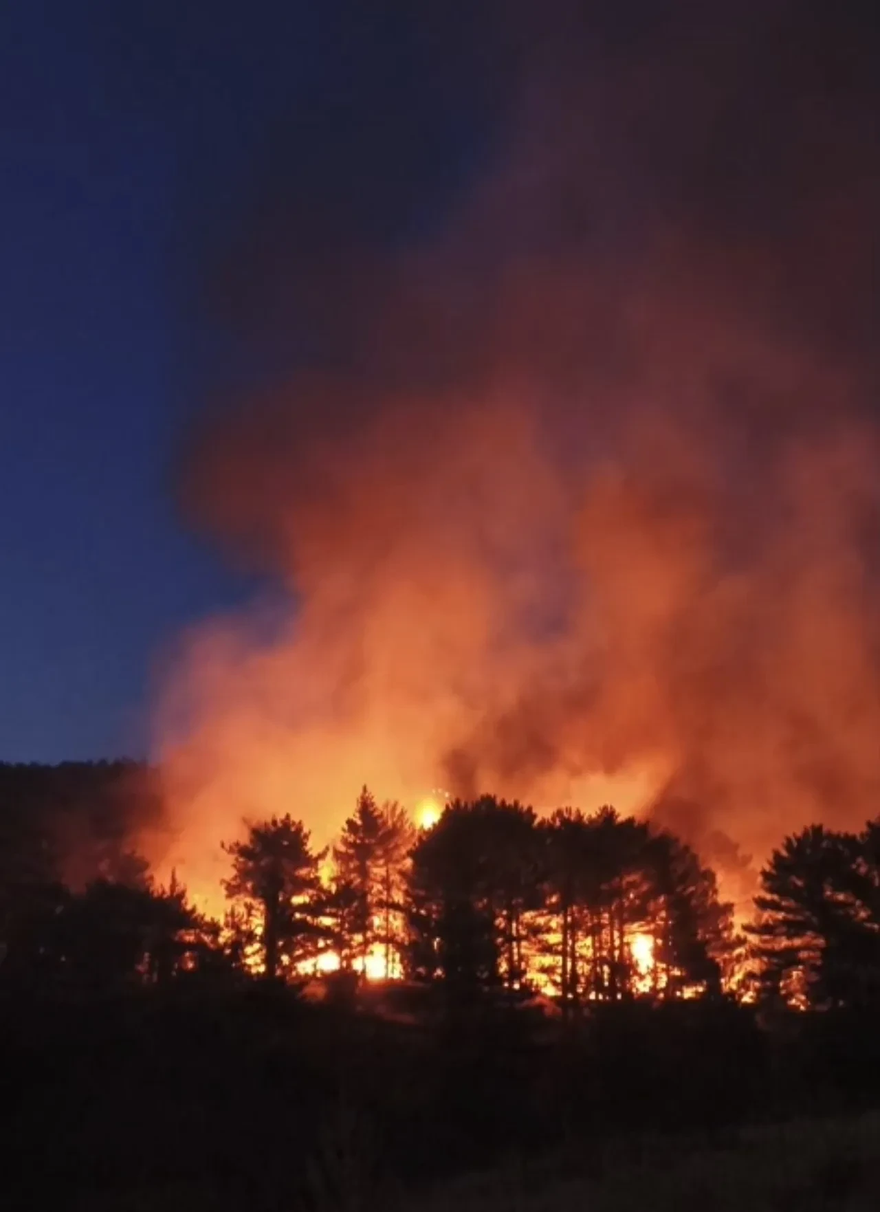 Balıkesir yangın söndürüldü mü son dakika? Sındırgı orman yangınıyla mücadele